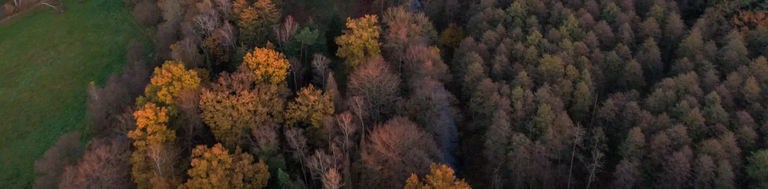 Luke Just - Central Vermont Real Estate Agent