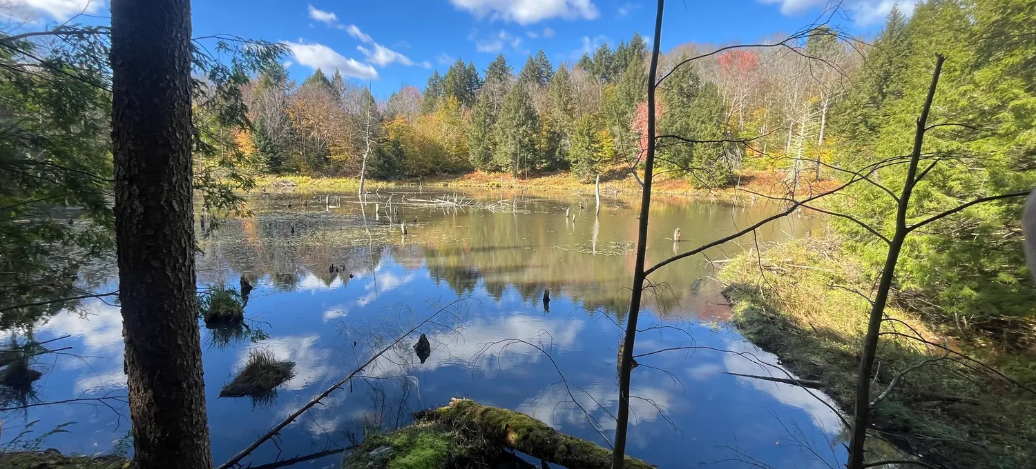 VA and USDA loan home buying Vermont