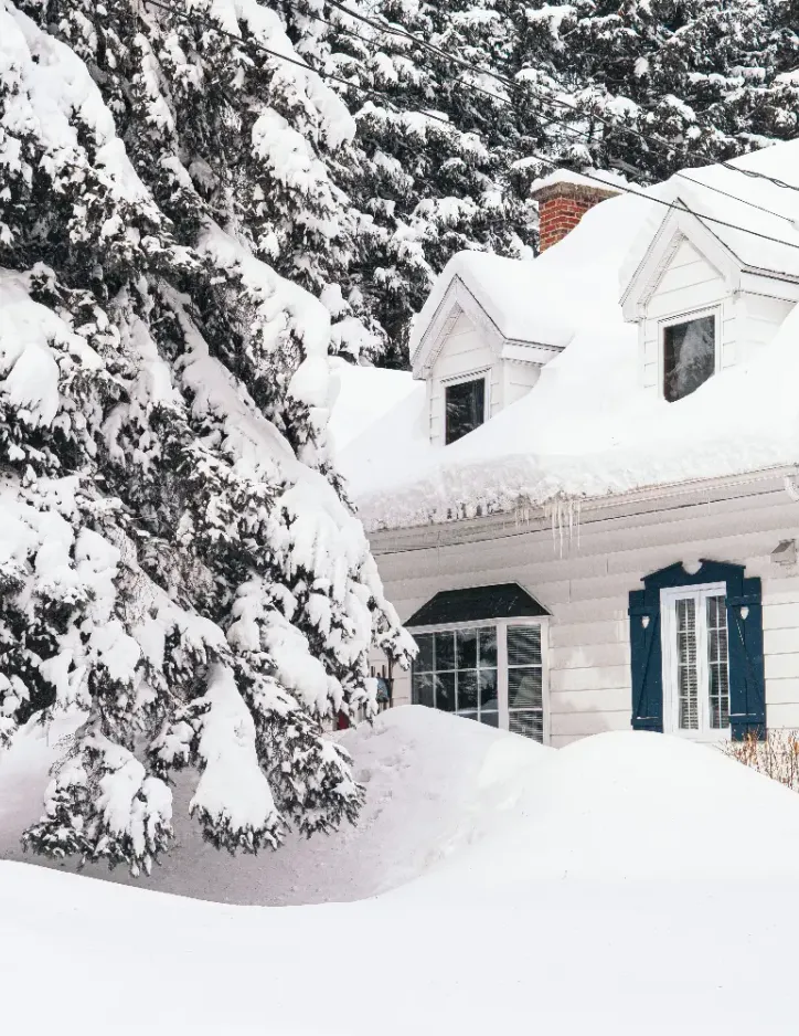 Investment property consultation